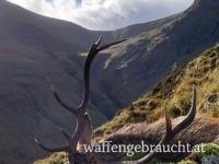 Hirschjagd in Schottland