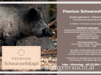 Premium Schwarzwildjagd im Südburgenland