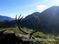 Abschuss Hirsch Kl. 2