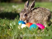 Frohe Ostern wünscht Euer Waffen Hager Team!