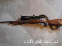 Steyr SM 12
