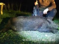 Wildschadenjagd in Ungarn bei Plattensee