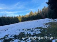 Ausgehvertrag in wunderschönem Wald-/Feldrevier mit gutem Bestand ab 1.1.2026