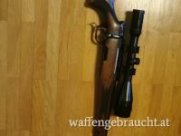 Steyr Mannlicher 300 win mag