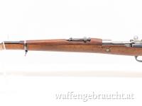 Mauser 1909 Argentino