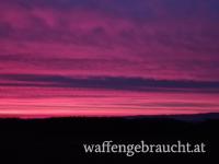 Maibockjagd im Waldviertel