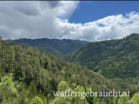 Ausgehrecht zu vergeben für das Jagdjahr 2025 in der Obersteiermark, Jungjäger willkommen