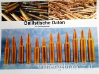 ballistische Daten für Büchsenpatronen