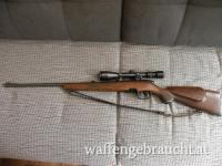 Steyr Mannlicher SL 222 Rem, 40 Stk RWS Muni