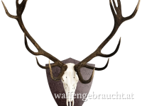 Trophäenschild Hirsch