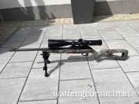 Winchester Wildcat strata 22lr