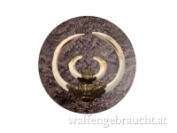 Trophäenschild Wildschwein