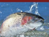 Erfolgreich am Forellensee
