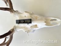 Blaser Sattelmontage mit Zeiss Innenschiene. 