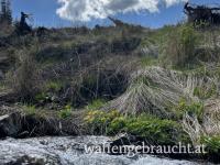 Suche Revier / Obersteiermark (Raum: Bruck Mur, Leoben, St. Michael, Knittelfeld, …)