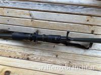 Steyr cl2