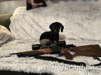 Blaser R8