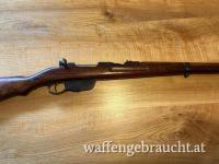 Steyr M95