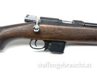 Bergmann Destroyer Kal.9mm (9x23mm)