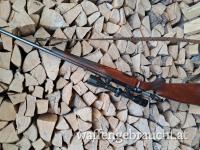 Steyr M