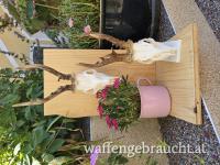 Trophäenständer Trophäenhalter Trophäen Wandhalter