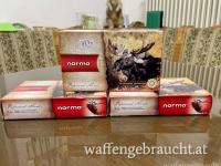 Norma Large Game im Kaliber .300Win Mag Plastic Point mit 11,7g/180gr