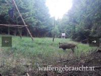 Ausgehrecht Dunkelsteinerwald