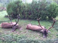 Jagd in Komitat Zala