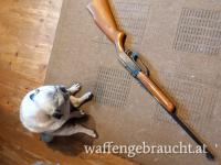 Daisy Powerline Luftgewehr Mod. 880