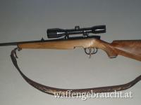 Steyr-Daimler-Puch .243