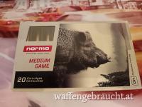 98 Schuss Norma Bondstrike 30-06