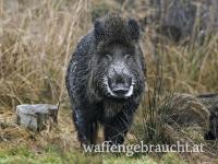 Keilerpaket 2 in Ungarn