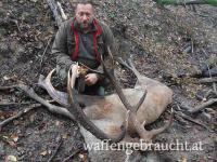 Rothirsch, Damhirschjagd und Muffelwidderjagd in Ungarn in 2025