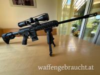 Pallas Hamburg 22lr im Ar-15 Design 