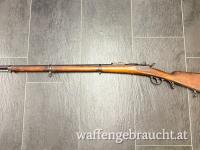 Werndl M.1873 Gewehr, exzellenter Zustand