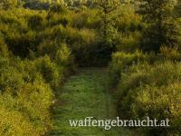 Jagdrevier Leithagebirge (Burgenland)