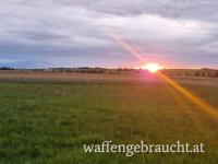 Herbstjagd im Waldviertel 18. bis 19. Oktober 2025