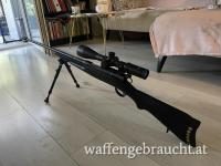 Schmidt Rubin G11 Custom