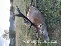 	Abschusspaket Kroatien – nur 3,5 Std. von Graz