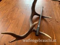 Tauschen  Blaser R8 243 win Wechsellauf auf 6XC