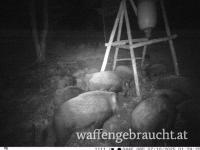 Ausgehrecht in einem Top Revier im Bezirk Baden zu vergeben 
