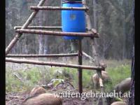Vergeben noch ein Ausgehrecht im Waldviertel