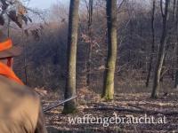 Drückjagd im komitat Zala 28.12.2025 Sonntag!