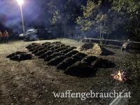 Drückjagd auf Schwarzwild in Kroatien 