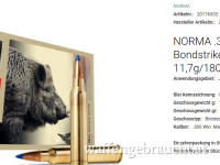 Norma Bondstrike .300 WIN MAG 11,7g