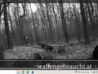 Ausgehrecht für 2026