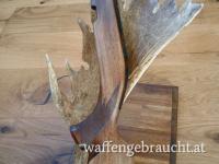 Steyr Mannlicher Schaft, SM12, CL 2, SBS 96