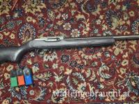 Ruger 10/22 