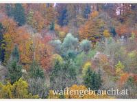 BIETE Revierbetreuung / Revieraufsicht (ca. 16 Std./Woche)