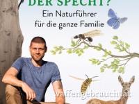 Warum hämmert der Specht?